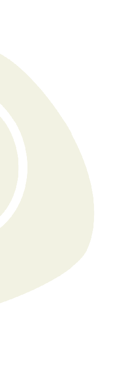 muschel-psychotherapie-supervision